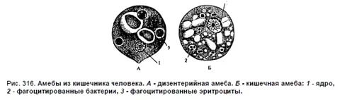 https://im1-tub-kz.yandex.net/i?id=8e9a6c99a6a58b95f27283290488dc1f&n=33&h=142&w=480