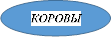 КОРОВЫ

