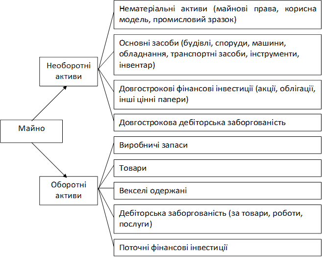 Нематеріальні активи (майнові права, корисна модель, промисловий зразок),Основні засоби (будівлі, споруди, машини, обладнання, транспортні засоби, інструменти, інвентар),Довгострокові фінансові інвестиції (акції, облігації, інші цінні папери),Довгострокова дебіторська заборгованість,Необоротні активи,Виробничі запаси,Товари,Векселі одержані,Дебіторська заборгованість (за товари, роботи, послуги),Поточні фінансові інвестиції,Оборотні активи,Майно