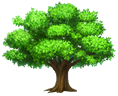 http://clipartsign.com/upload/2016/03/08/oak-tree-tree-clipart-clipart.png