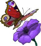 http://skypeindex.com/cartoons/cartoon-butterfly/cartoon-butterfly-with-flower.jpg