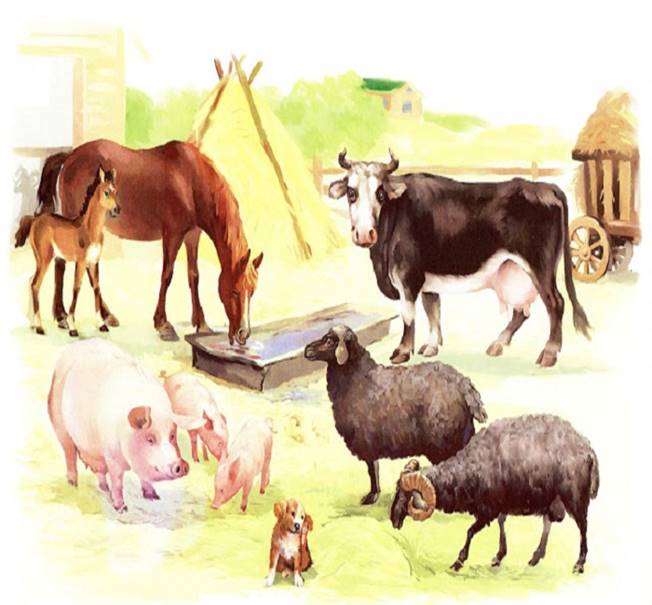 1 домашние животные (700x495, 113Kb)