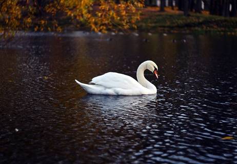 https://photocentra.ru/images/main39/390601_main.jpg