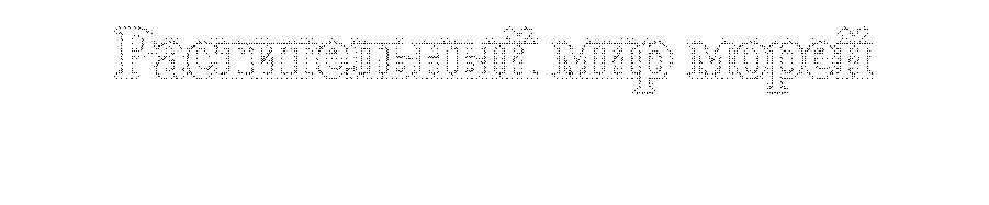 Растительный мир морей