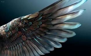 bird jewels diamonds CGI 3D personnal work feather wings metal silver.