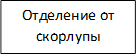 Отделение от скорлупы