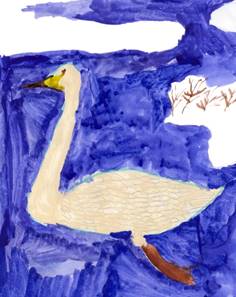 сканирование0038