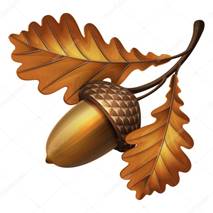 https://st4.depositphotos.com/1003390/20899/v/950/depositphotos_208992806-stock-illustration-vector-illustration-oak-branch-with.jpg