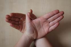 Пальчикова я гимнастика Птичка