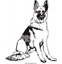 http://www.happydogheaven.com/wp-content/uploads/black-and-white-german-shepherd-drawings-art-print-digital-file.jpg