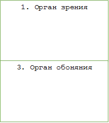 1. Орган зрения,3. Орган обоняния