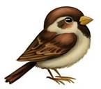 https://avatars.mds.yandex.net/i?id=b39197179b6a1739f979ef3322c85c84c418aed7-2451742-images-thumbs&n=13