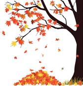 https://media.istockphoto.com/vectors/autumn-tree-and-pile-of-leaves-vector-id165931688?k=20&m=165931688&s=612x612&w=0&h=aGTRtOhZ4t_w69Wvn8reYYqYJJsmdozXpT0hPBdEr3s=