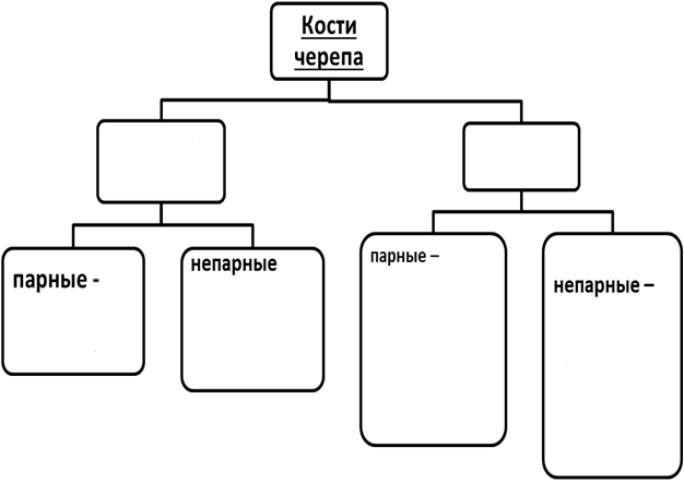 https://documents.infourok.ru/882246f8-ddad-45a1-92e5-c1375ef37ac7/0/image003.png