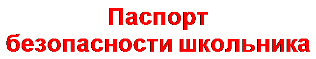 Надпись: Паспорт 
безопасности школьни-ка
