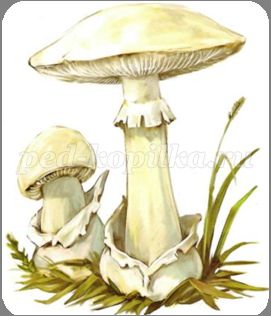 http://ped-kopilka.ru/upload/blogs/19069_297151bdab19274427cb2016c331ed2d.png.jpg