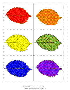 Bug_Color_Matching-2.jpg,Bug_Color_Matching-3.jpg