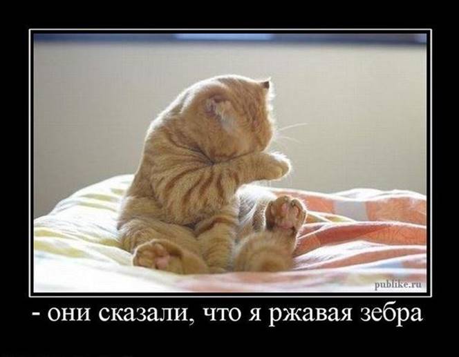 hello_html_78f5730d.jpg