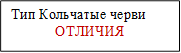 Тип Кольчатые черви
ОТЛИЧИЯ
