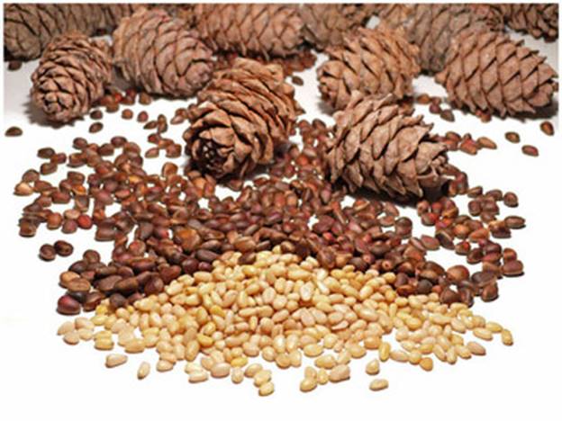 ea98d504a7204c8f884fd65f46e08cf9