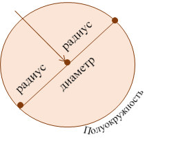 Полуокружность,радиус        радиус,диаметр