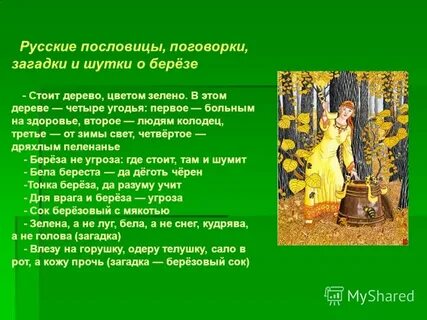 Русские пословицы, поговорки, загадки и шутки о берёзе - Стоит дерево, цвет...