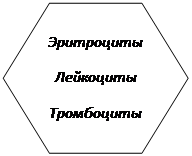 Шестиугольник: Эритроциты
Лейкоциты
Тромбоциты
