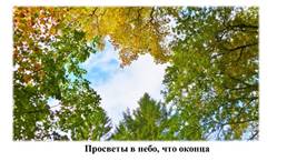 Слайд11