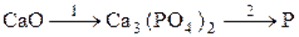 https://prob-ent.testcenter.kz/tests/4B131012-35BF-4DCD-88D0-3538B3841D93/010144.files/image001.gif