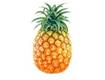 http://images.clipartpanda.com/pineapple-vector-pc5axzycB.jpeg