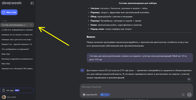 DeepSeek сохраняет диалоги с пользователем
