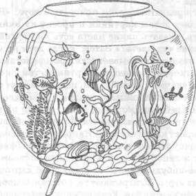 image049