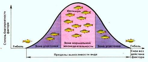 &Zcy;&acy;&kcy;&ocy;&ncy; &ocy;&pcy;&tcy;&icy;&mcy;&ucy;&mcy;&acy;