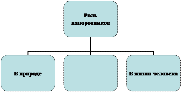 Организационная диаграмма