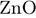 ZnO
