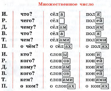 Скамейка во множественном числе