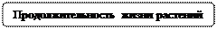 Скругленный прямоугольник: Продолжительность жизни растений