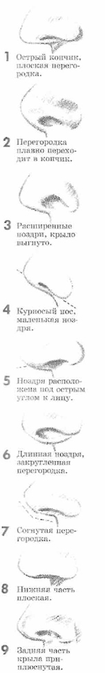 http://festival.1september.ru/articles/609343/4.jpg