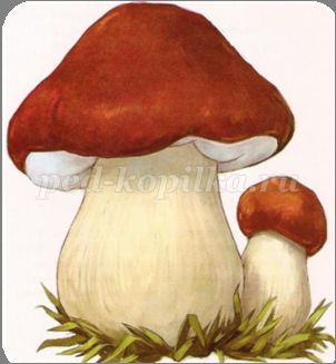 http://ped-kopilka.ru/upload/blogs/19069_0d9e33d89bc343a201168919a8dedde0.png.jpg