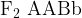 \rm F_2 \ AABb