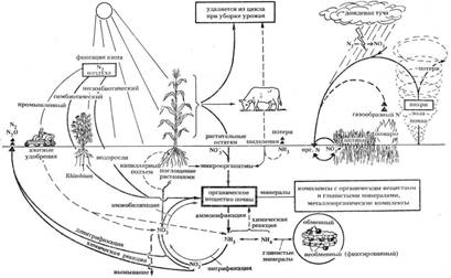 Изображение выглядит как текст, карта

Автоматически созданное описание