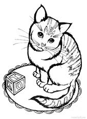 Котик. Раскраска. Домашние животные. Раскраски для детей