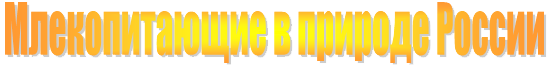 http://informat45.ucoz.ru/practica/7_klass/7-6/7-6-6.png