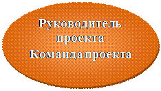 Овал: Руководитель проекта
Команда проекта
