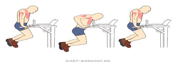 Можно ли отжиматься на брусьях