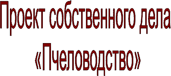 Проект собственного дела
 «Пчеловодство»