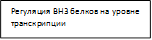 Регуляция BH3 белков на уровне транскрипции