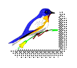 http://vector-magz.com/wp-content/uploads/2013/08/bird-clipart.gif