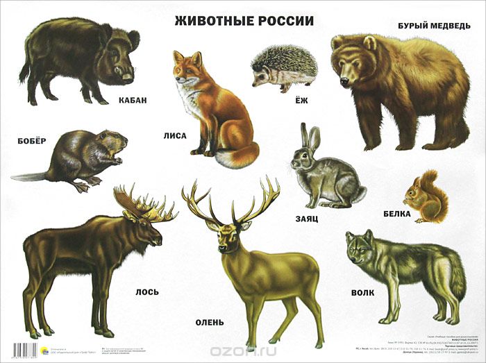 ÐŸÐ¾Ñ…Ð¾Ð¶ÐµÐµ Ð¸Ð·Ð¾Ð±Ñ€Ð°Ð¶ÐµÐ½Ð¸Ðµ