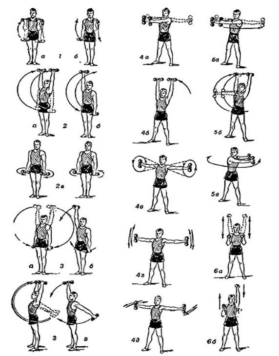 Упражнения с гантелями